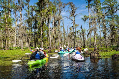 New Orleans: Manchac Magic Kayak Swamp Tour Kayak Swamp Tour without Transportation