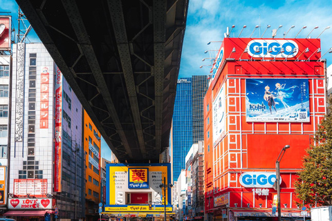 Tokyo full day Spanish speaking tour with hotel pick up and drop off.