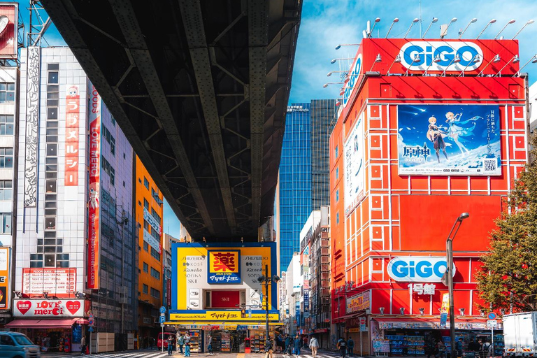 Tokyo full day Spanish speaking tour with hotel pick up and drop off.