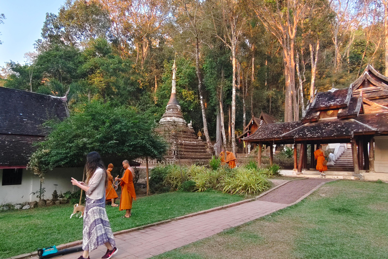 Monks chanting, Wat Doi Suthep and Wat Phalad+ Meditation Doi Suthep temple, Wat Phalat, monks chanting and Meditation