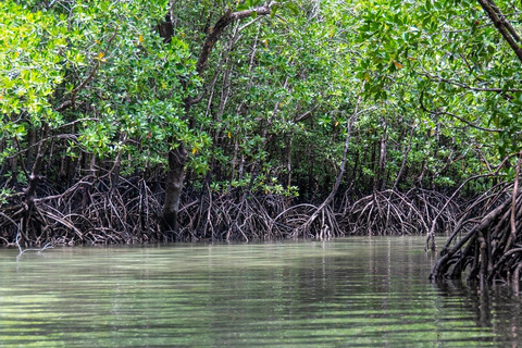 Kerala: Munnar, Thekkady, Alappuzha & Trivandrum 5-Day Trip Kerala: 5-Day Munnar, Thekkady, Alappuzha and Trivandrum