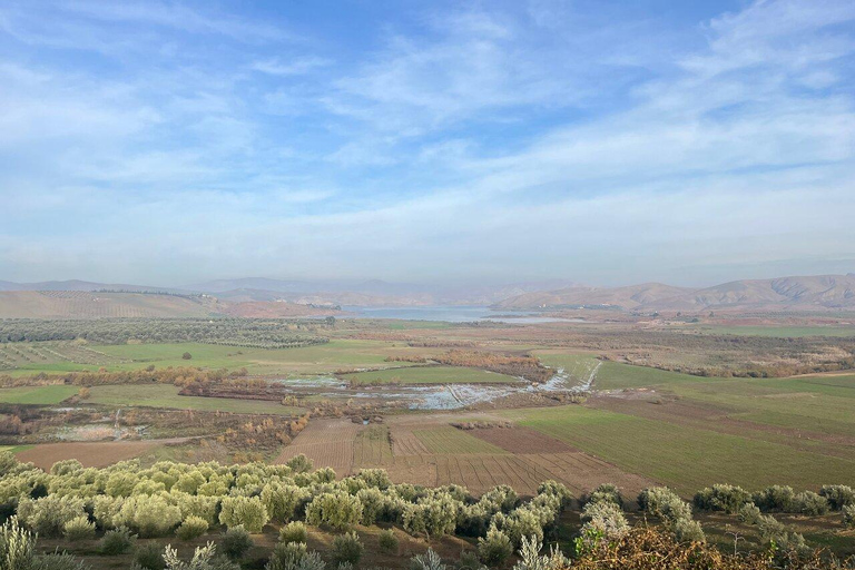 From Fes: Volubilis,Moulay Idriss&Meknes Day Trip with Guide Medium Group:Meknes,Volubilis, Moulay Idriss Guide in Meknes
