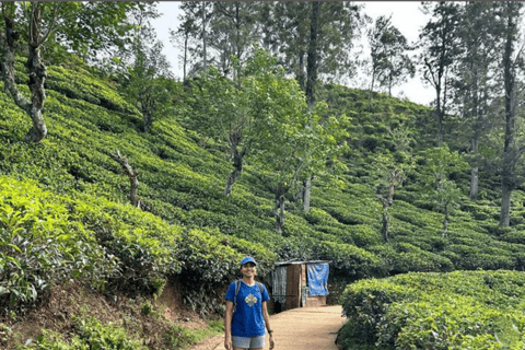 From Ella : Sunset Hike to Little Adams Peak