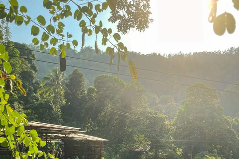 Samui Zipline FLY & Fun Tree Bridge Jungle Cafe & Waterfall