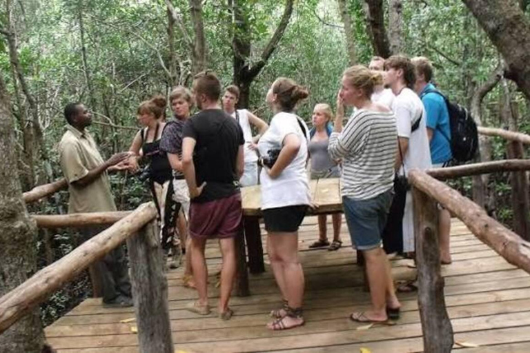 Zanzibar: Mnemba Dolphin, Jozani Forest & Turtle Sanctuary Private Tour without Hotel transfer