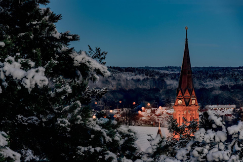 Gothenburg: Guided Walking Tour in Ukrainian