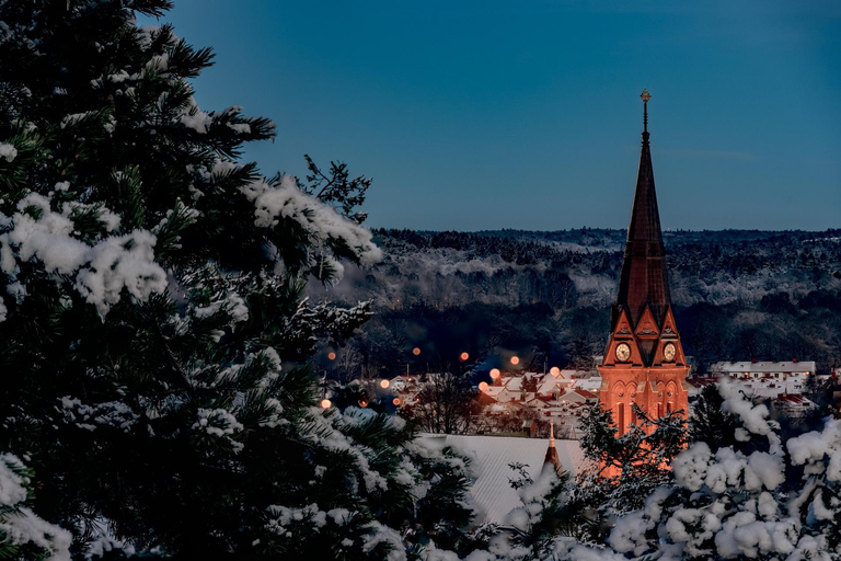 Gothenburg: Guided Walking Tour in Ukrainian