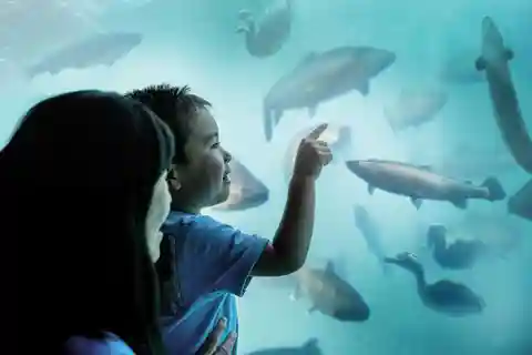 Underwater Theatre Experience Entry Ticket