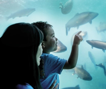 Underwater Theatre Experience Entry Ticket