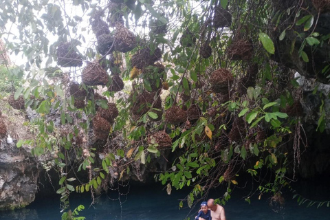 JOZANI FOREST/SEA TURTLE SANCTUARY/MTENDE BEACH