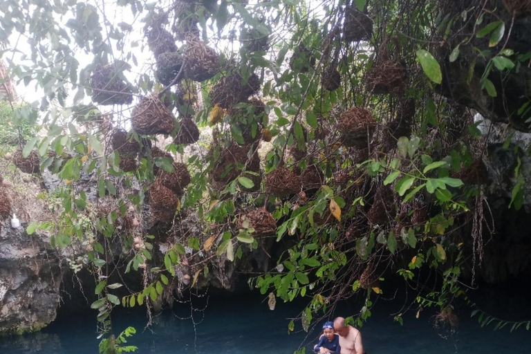 JOZANI FOREST/SEA TURTLE SANCTUARY/MTENDE BEACH