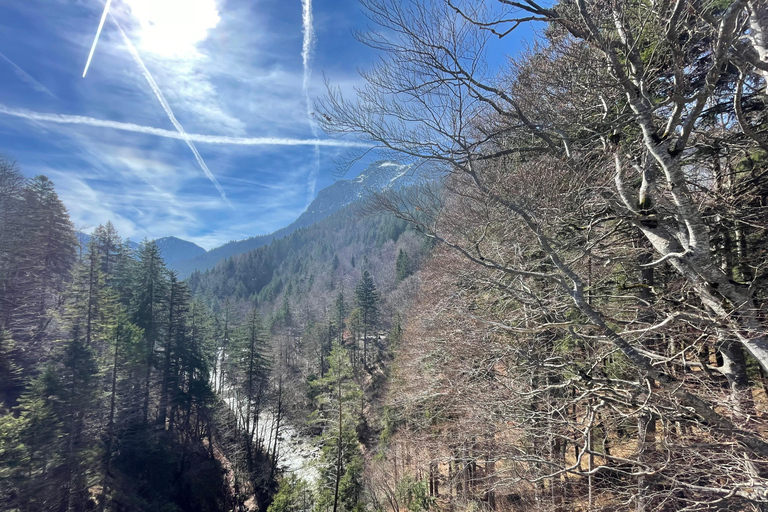 Hohenschwangau: Guided Tour to Neuschwanstein Castle, including tickets Hohenschwangau: Neuschwanstein Castle Tour with Guide and Ticket