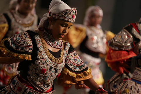 8-Day Sri Lanka Private Tour with Hotels, Train Ride &Safari