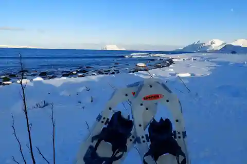Tromsø: Snöskovandring till Lyngstuva fyr med lunch