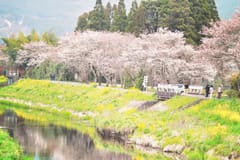 Tagestour von Fukuoka nach Oita: Dazaifu, Beppu, Yufuin