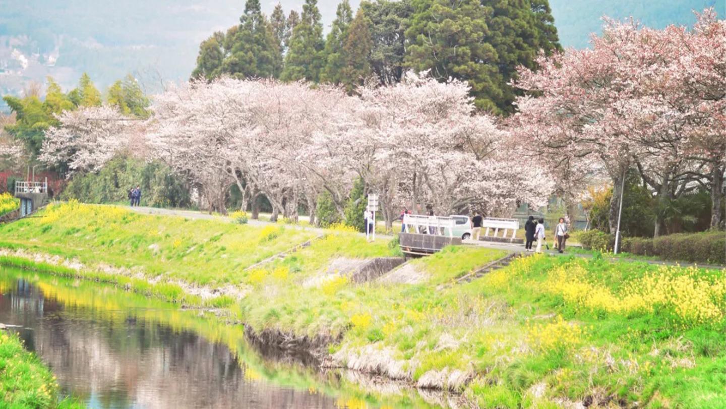 Tagestour von Fukuoka nach Oita: Dazaifu, Beppu, Yufuin