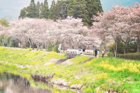 Day Trips from Oita | GetYourGuide