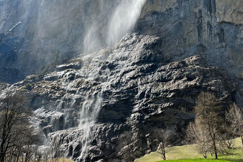 Von Basel aus: Private Tour zu den Alpen, Wasserfällen und Seen