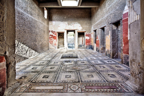 From Naples: Pompeii and Herculaneum Tour