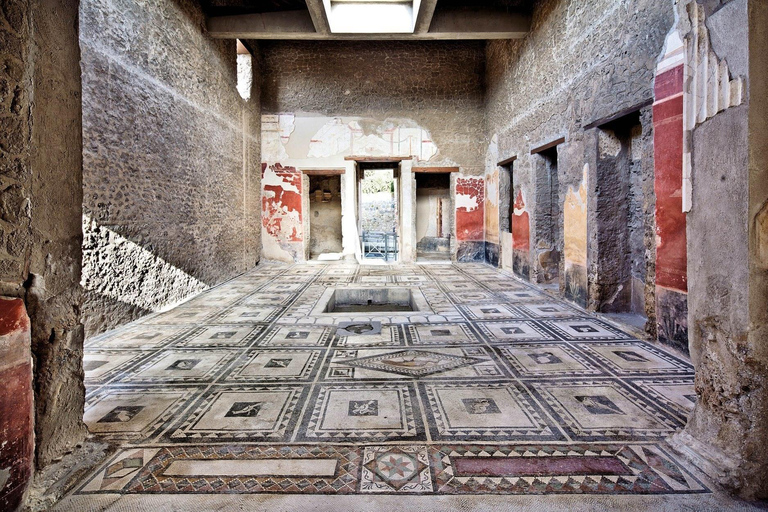 From Naples: Pompeii and Herculaneum Tour