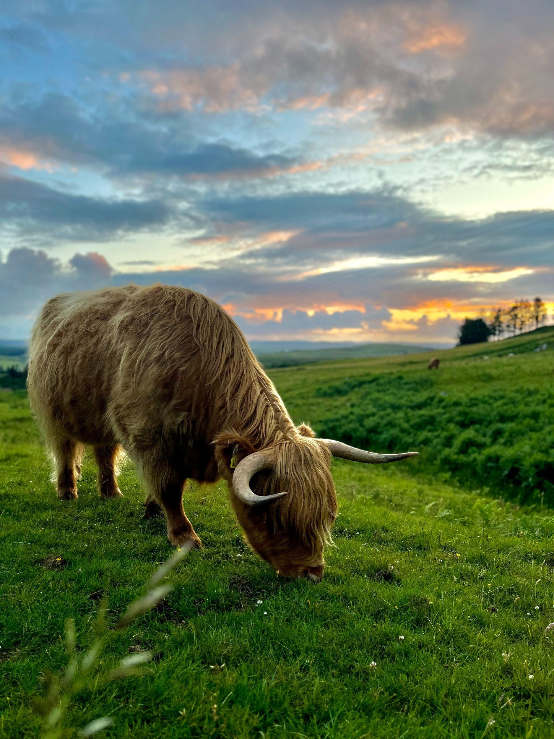 Zweitägige Schnuppertour auf Skye, in den Highlands und nach Glencoe