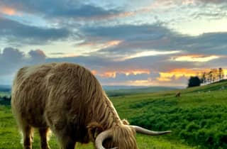 Zweitägige Schnuppertour auf Skye, in den Highlands und nach Glencoe