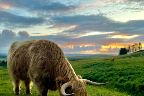 Två dagars prova-på-tur till Skye och högländerna