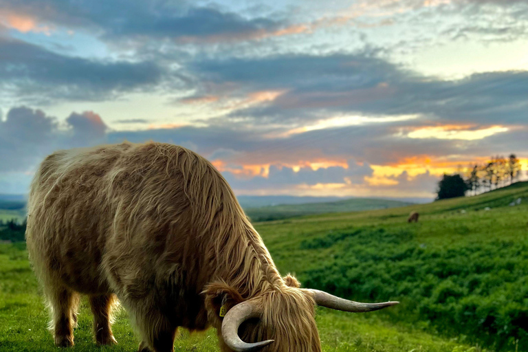 Två dagars prova-på-tur till Skye och högländerna