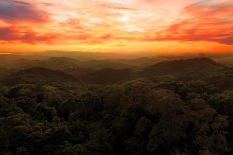 Villanueva: Fundación Loros Sunset Tour with Winetasting