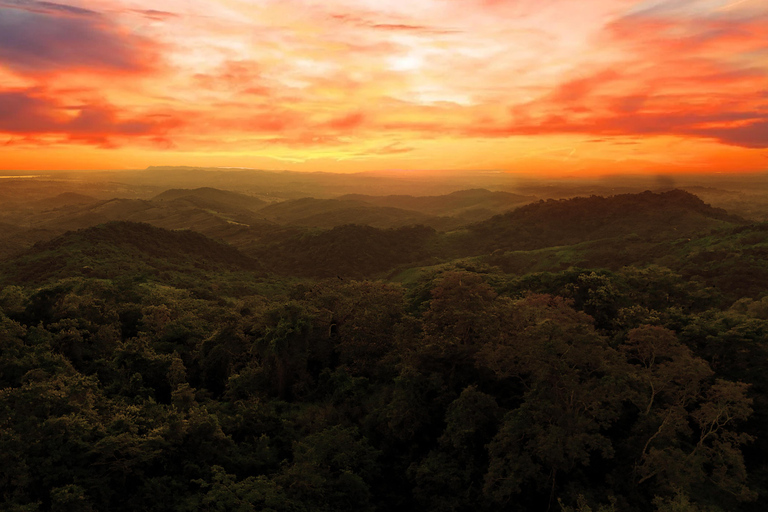 Villanueva: Fundación Loros Sunset Tour with Winetasting