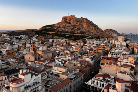 Alicante: Private Guided Tour with Transport