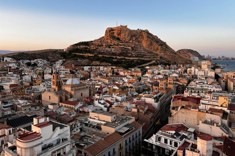 Alicante: Private Guided Tour with Transport
