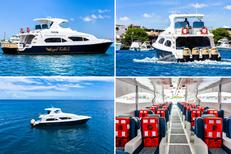 Fast Ferry from San Cristobal to Santa Cruz l with Comfortable Seats Fast Ferry from San Cristobal to Santa Cruz with Comfortable Seats