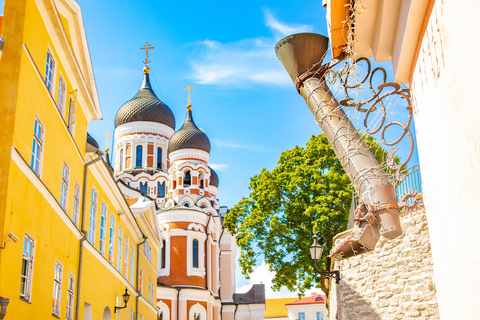 Las joyas ocultas de Tallin: Paseo Guiado por el Casco Antiguo