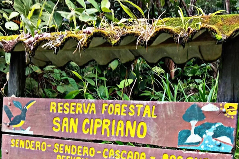 Cali: San Cipriano Reserve, Brujita Ride & Jungle Tubing San Cipriano Reserve Tour Without Transportation