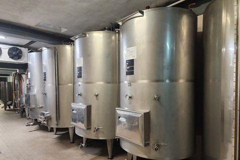 Sorrento: 2-Hour Wine Tasting Experience and Vineyards Tour Option 1: 5 Wines Tasting