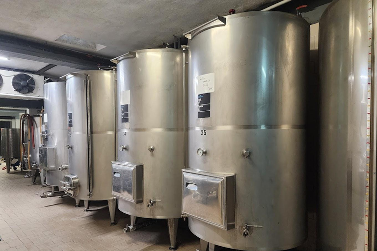 Sorrento: 2-Hour Wine Tasting Experience and Vineyards Tour Option 1: 5 Wines Tasting