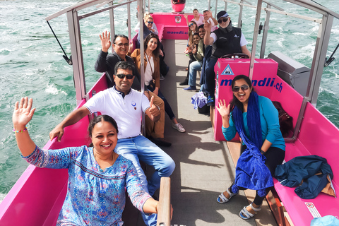 Rijnwatervallen: Bustocht vanuit ZürichRijnwaterval: bustour vanuit Zürich