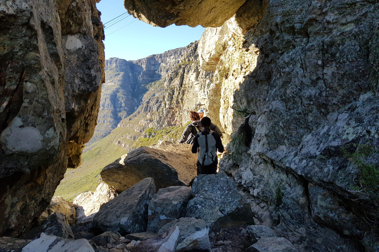 Cape Town: the Mountain, the Garden and the Vineyard
