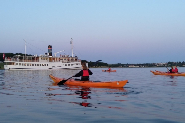 Roskilde:Kayak guidé sur le fjord de Roskilde : Dimanche après-midi