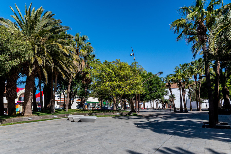 Desde Caleta de Fuste: Excursión a Fuerteventura Rural