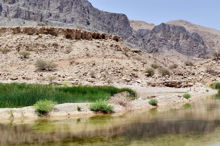 Muscat: 12 - Hours Wadi Adventure & Muscat City Tour