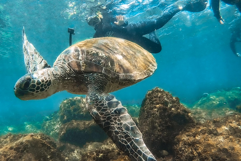 Sunshine Coast : Plongée sous-marine sur l&#039;épave de l&#039;ex-HMAS de Brisbane