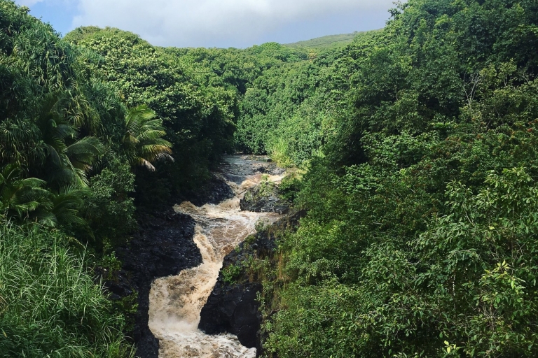 Maui: recorrido de día completo por la carretera a HanaTour con Almuerzo
