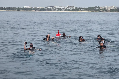 Mombasa: Scuba Diving Experience with Hotel Transfer