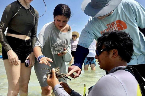 Tierra Verde FL: Coastal Kayaking Tour in Shell Key Single Kayak