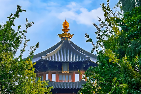 From Shanghai: Suzhou Day Trip with Garden & Temple