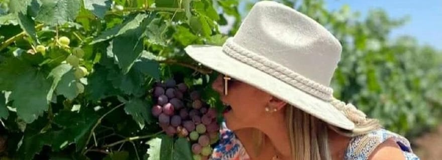 Visite privée des vignobles d'Aguascalientes, Mexique