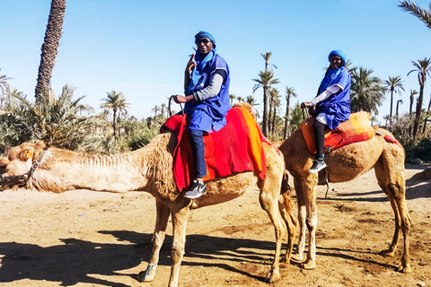 Marrakech : balade en chameau à la palmeraieMarrakech : balade en chameau de 3 h à la palmeraie