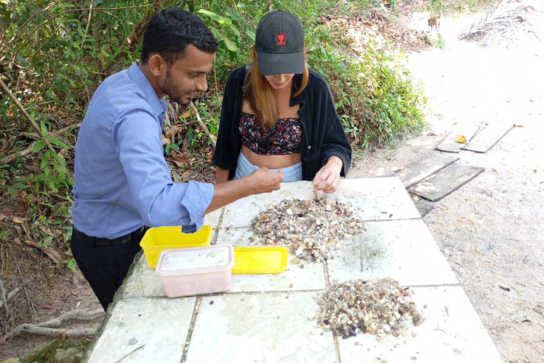 Moonstone Mine Tour with Museum Visit in Galle